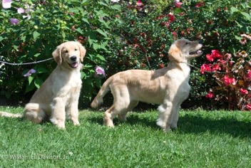 Brother & Sister.jpg