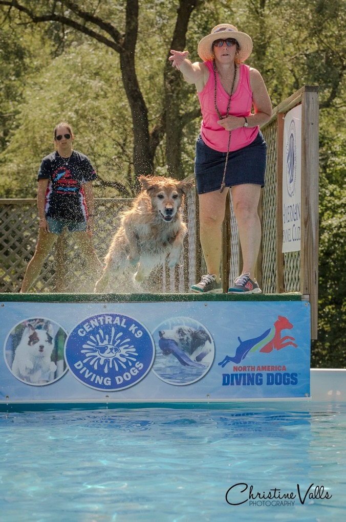 Dock DIving-porterwebsite.webp