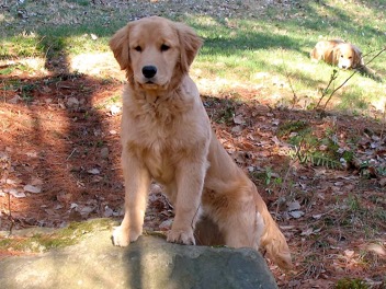 Striking a pose!.webp